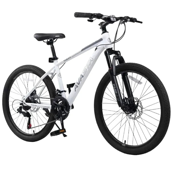 Inch Carbon Steel Mountain Bike — product image 1
