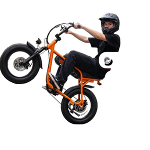 ESKUTE V101 Electric Dirt Bike,16'x4.0 Fat Tire Ebike,Electric Dirt Bike, 28mph, E Bike UL2849, 1 Year Warranty