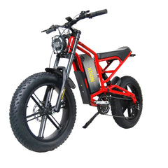 Peak Motor Electric Bike — product view 1