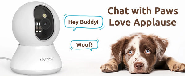 Blurams 2K 360 PTZ Pet Camera With 2 Way Audio Indoor Security - stepyours.com