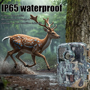 MiniDL003 Wild Hunter Camera 16MP 1080P Night Vision For Trails - stepyours.com
