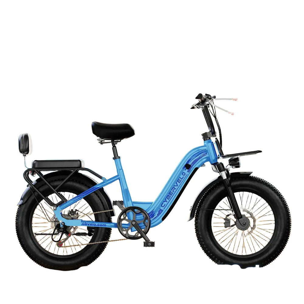Fat Tire Electric Bike For Adults — product view 1