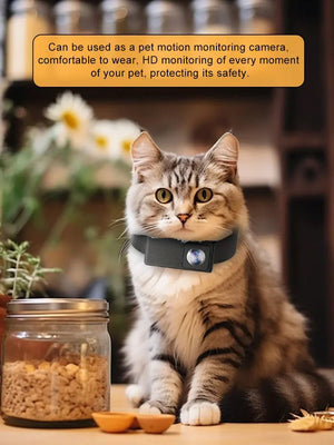 BORME HD 1080P Pet Collar Camera No WiFi Needed For Cats And Dogs - stepyours.com