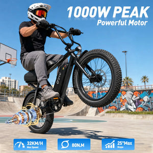 Dyu Bmx Fat Tire Ebike Battery — product view 2