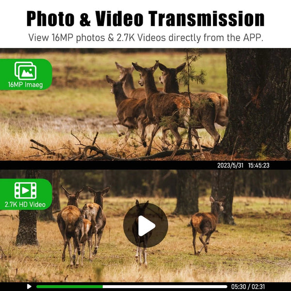 EU 4G Solar Trail Camera H10 - 4MP 2K Night Vision No Red Glow IP65 Outdoor - stepyours.com