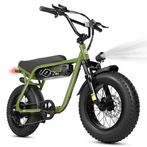 ESKUTE V101 Electric Dirt Bike,16'x4.0 Fat Tire Ebike,Electric Dirt Bike, 28mph, E Bike UL2849, 1 Year Warranty