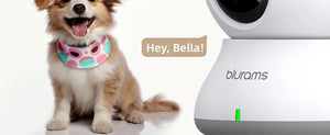2.4G WiFi Indoor Camera - 2K 360 Degree PTZ With Night Vision And Two Way Talk - stepyours.com