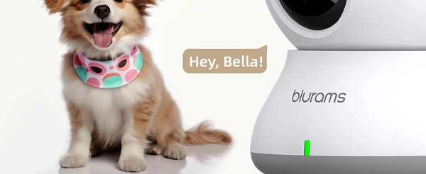 2.4G WiFi Indoor Camera - 2K 360 Degree PTZ With Night Vision And Two Way Talk - stepyours.com