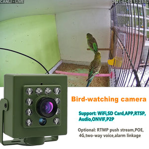 Green WiFi Bird Box Camera 5MP HD Nest Monitor With Night Vision - stepyours.com