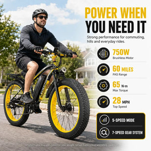 Fat Tire Ebike Inch Load — product view 2
