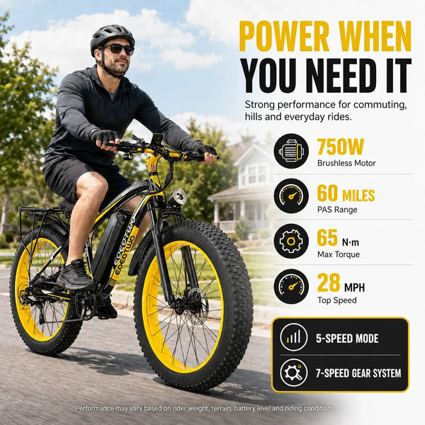 Fat Tire Ebike Inch Load — product view 2