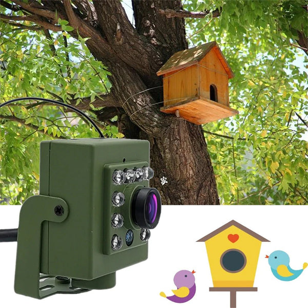 Green WiFi Bird Box Camera - 5MP HD Nest Monitoring With Live Streaming - stepyours.com