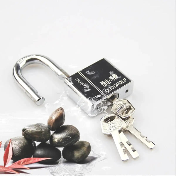 Stainless Steel Padlock - Heavy Duty Security — product view 5
