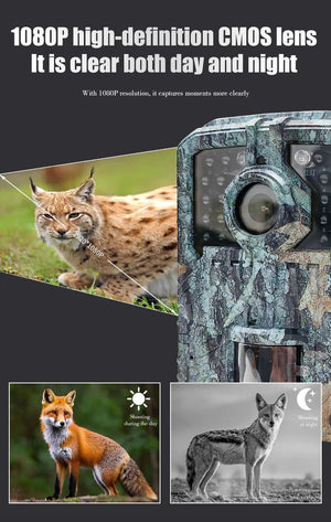 MiniDL003 Wild Hunter Camera 16MP 1080P Night Vision For Trails - stepyours.com