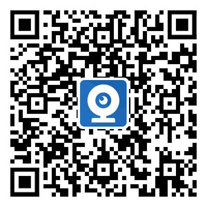 5MP IMX335 OpenIPC CCTV Camera Module 30FPS H265 Dome Board - stepyours.com