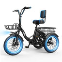 Qlife Triker - Fat Tire — product view 9