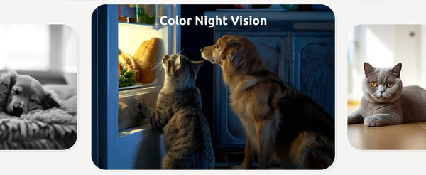 Blurams 2K 360 PTZ Pet Camera With 2 Way Audio Indoor Security - stepyours.com