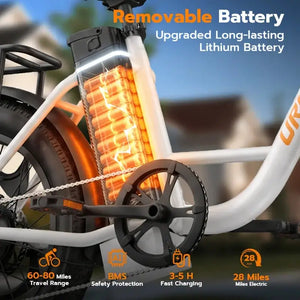 URLIFE Fat Tire EBike for Custom Setups — product view 6