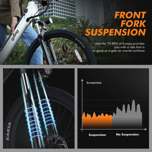 Qlife Steptthru Ebike - Long Range — product view 6