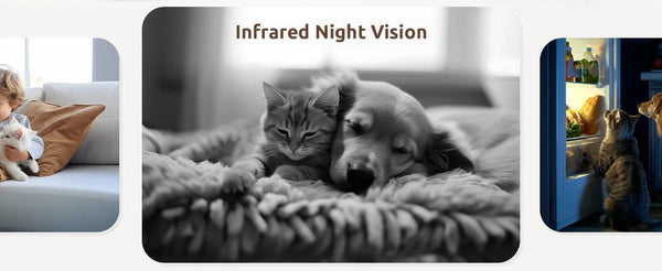 Blurams Indoor Security Camera 2K Kit - 360 Degree Coverage for Pets and Seniors - stepyours.com