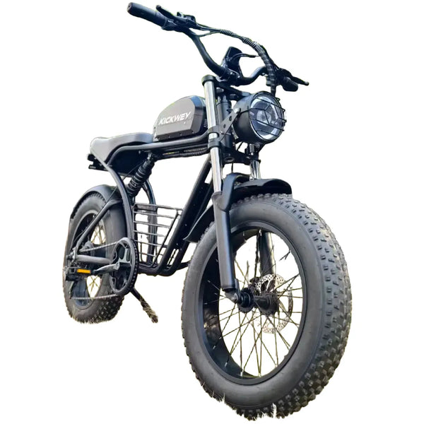 Electric Fat Tire Bike Adult — product view 1