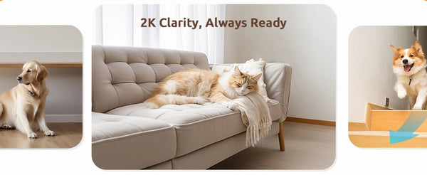 Blurams 2K 360 PTZ Pet Camera With 2 Way Audio Indoor Security - stepyours.com