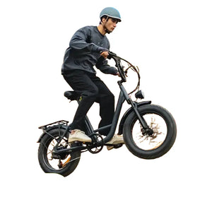 Urlife Fat Tire Ebike — product view 1