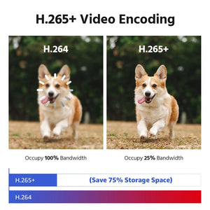 ANNKE 4K 8MP Dual - Lens Outdoor PoE Camera - 180 - Degree Wide View - stepyours.com
