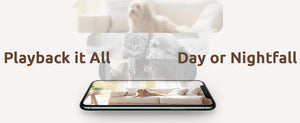 Blurams 2K 360 PTZ Pet Camera With 2 Way Audio Indoor Security - stepyours.com