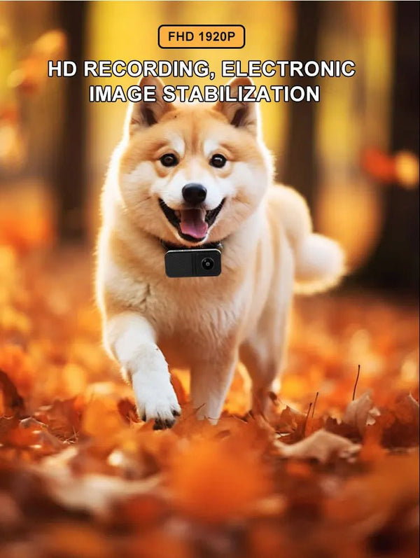 BORME HD 1080P Pet Collar Camera No WiFi Needed For Cats And Dogs - stepyours.com