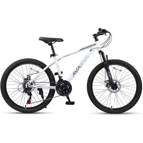 Inch Carbon Steel Mountain Bike — product image 2