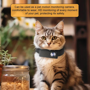 BORME HD 1080P Pet Collar Camera No WiFi Needed For Cats And Dogs - stepyours.com