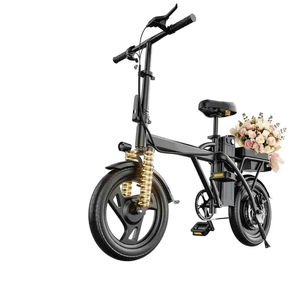 14'' Foldable Electric Bike 500W Motor 48V Battery 22MPH Max Speed 30Miles Long Range with Two Seats for Adult Mini E Bike