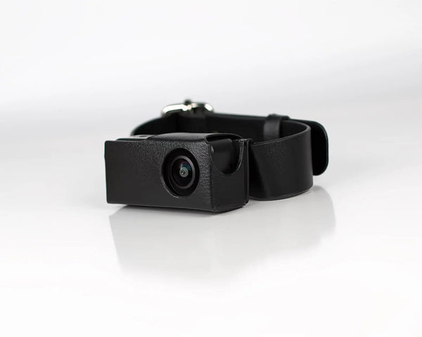 BORME HD 1080P Pet Collar Camera No WiFi Needed For Cats And Dogs - stepyours.com