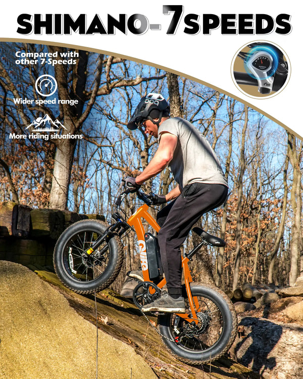 Qlife Fat Tire Ebike - Mile Range — product view 4