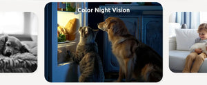 Blurams Indoor Security Camera 2K Kit - 360 Degree Coverage for Pets and Seniors - stepyours.com
