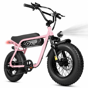 ESKUTE V101 Electric Dirt Bike,16'x4.0 Fat Tire Ebike,Electric Dirt Bike, 28mph, E Bike UL2849, 1 Year Warranty