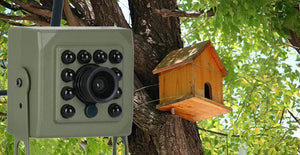 Green WiFi Bird Box Camera - 5MP HD Nest Monitoring With Live Streaming - stepyours.com
