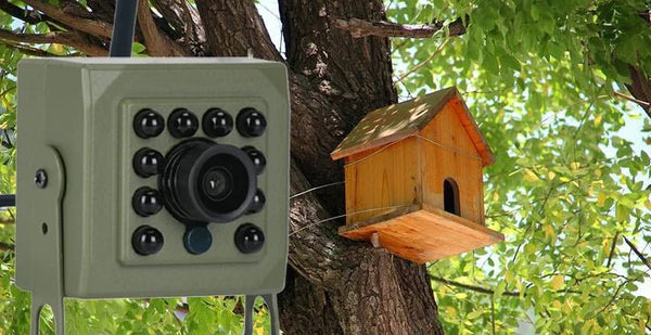 Green WiFi Bird Box Camera - 5MP HD Nest Monitoring With Live Streaming - stepyours.com