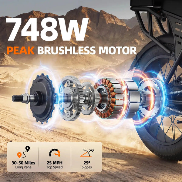 Fat Tire Electric Bike Inch — product view 3
