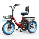 Qlife Triker - Fat Tire — product view 8