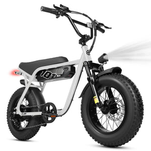 ESKUTE V101 Electric Dirt Bike,16'x4.0 Fat Tire Ebike,Electric Dirt Bike, 28mph, E Bike UL2849, 1 Year Warranty