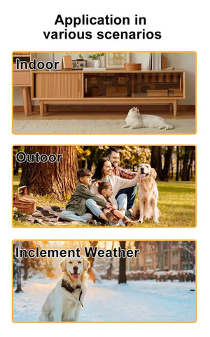 BORME HD 1080P Pet Collar Camera No WiFi Needed For Cats And Dogs - stepyours.com