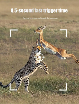 MiniDL003 Wild Hunter Camera 16MP 1080P Night Vision For Trails - stepyours.com