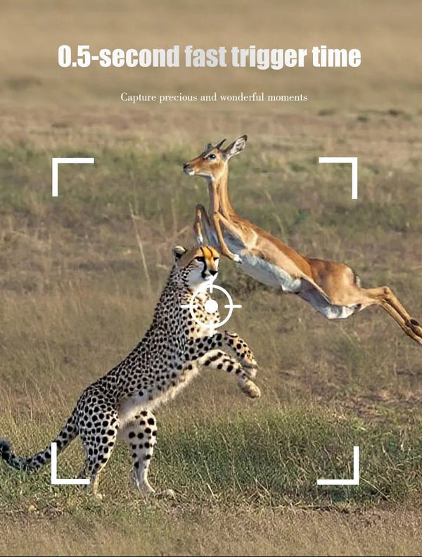MiniDL003 Wild Hunter Camera 16MP 1080P Night Vision For Trails - stepyours.com