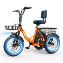 Qlife Triker - Fat Tire — product view 11